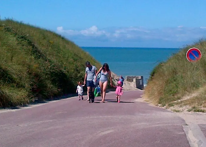 Blackberry 레사이